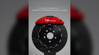 P4+EXPLORE Hinterrad-EPB-Bremssatz